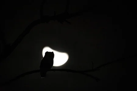 Cuyén Sláma<br/>
"A la luz de la luna"