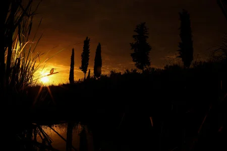 Julián Fernández Quílez<br/>
"Atardecer en el riachuelo"