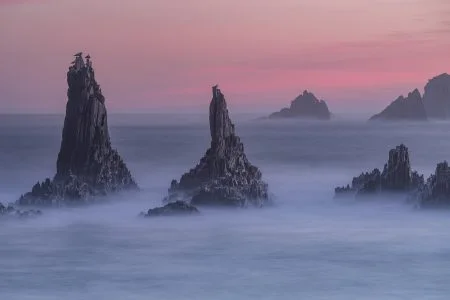 c2 the watchers pere soler