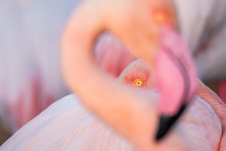 dentro del circulo enric riera romà