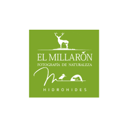 el millaron