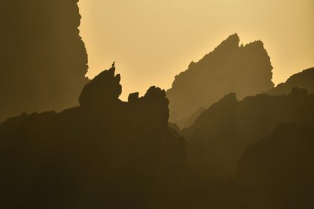 el vigía paulo olivier hanshing