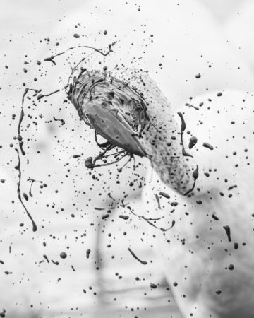 flamencaos asier lópez yañez