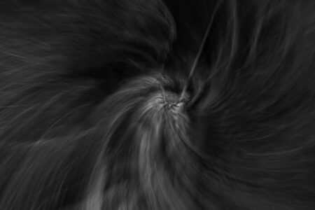 ganador c4 abducido serafin robert horst