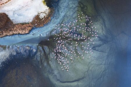 mencion c2 david jerez paraisos cercanos