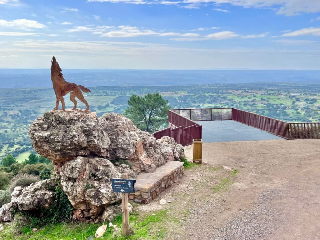 mirador lobo (2)