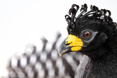 pilar díaz gómez de pelu