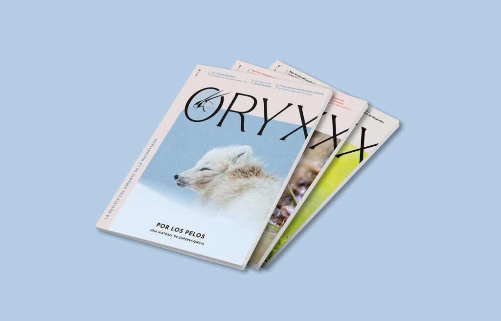 revistaoryx