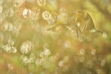 under the mirrorball sergey bystritsky