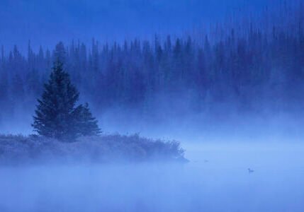 Héctor Cordero <br>
"Desuna la mañana"<br>  Ganador Fotógrafo extremeño