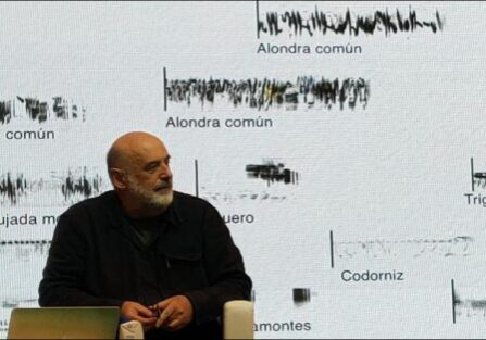 frente a primavera silenciosa