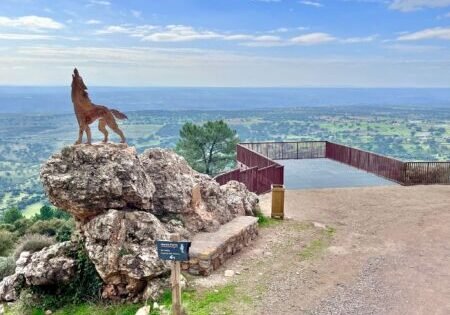 mirador lobo (2)