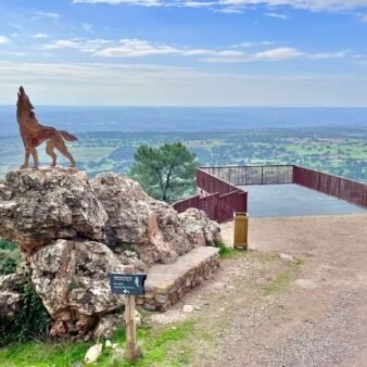 mirador lobo (2)