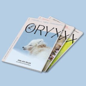 revistaoryx